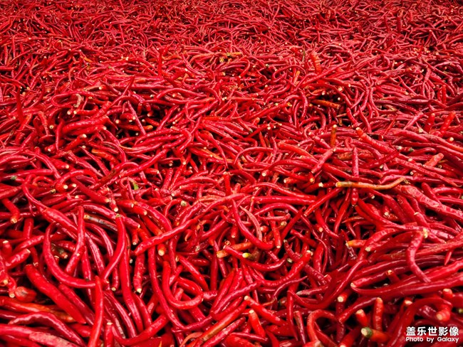 給你們看點好東西。。。