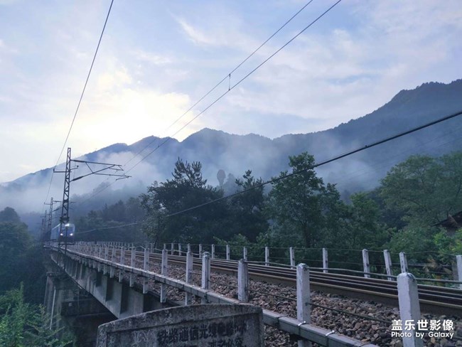 蟬噪林逾靜，鳥鳴山更幽