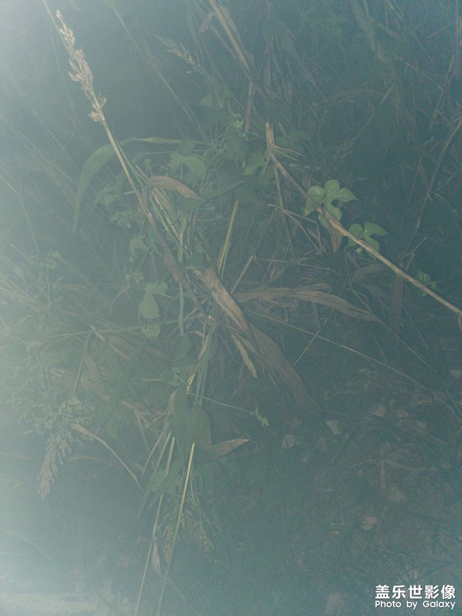 閃光燈不同步請(qǐng)問各位大佬有何方法？