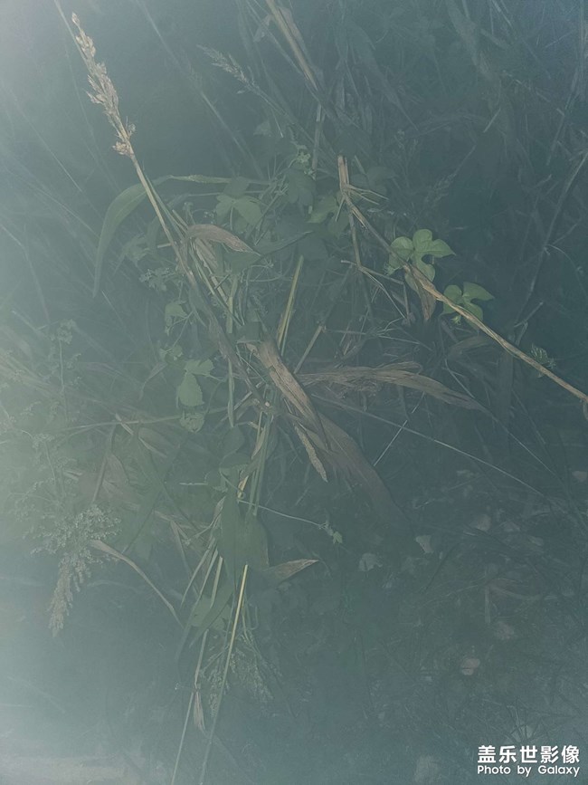 閃光燈不同步請(qǐng)問各位大佬有何方法？