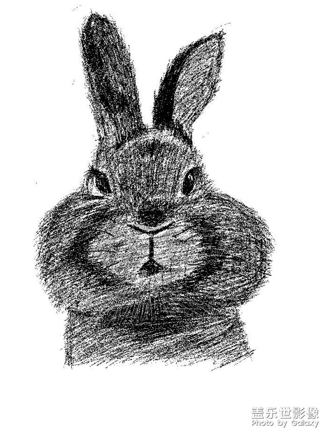 學(xué)習(xí)素描兩張