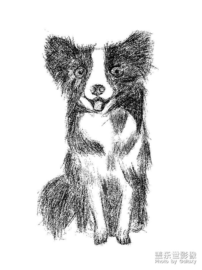 學(xué)習(xí)素描兩張