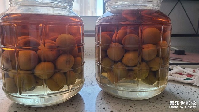 青梅酒后續(xù)