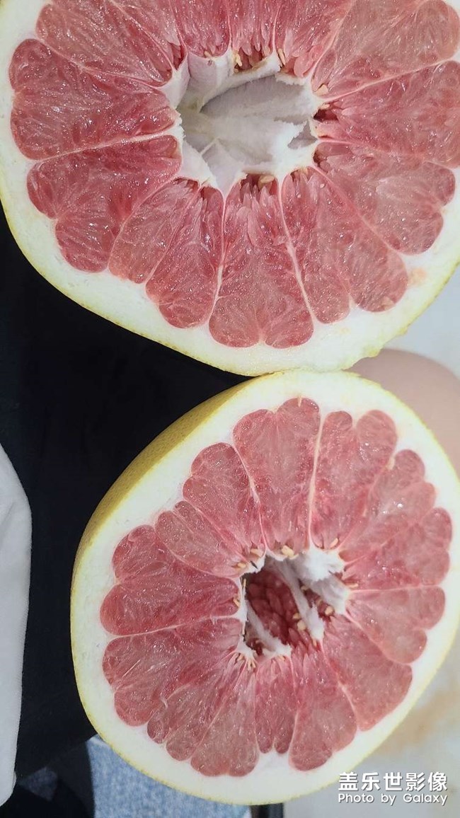 蘿卜是小人參嘛