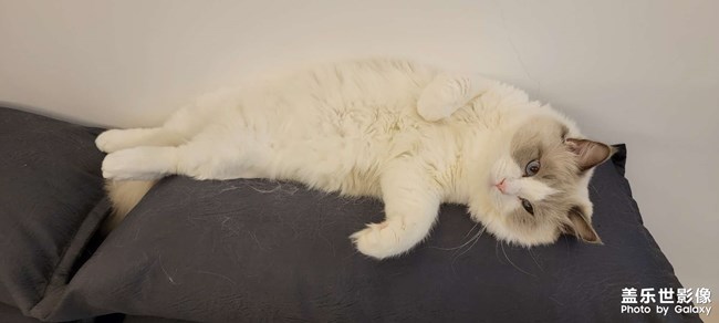 翻個(gè)身繼續(xù)睡