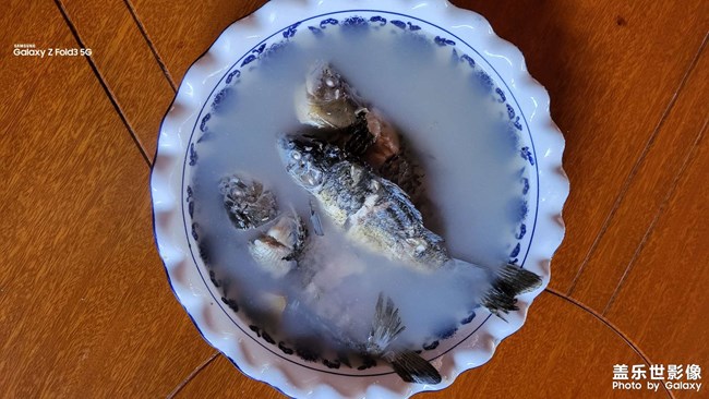 全球最好吃的魚