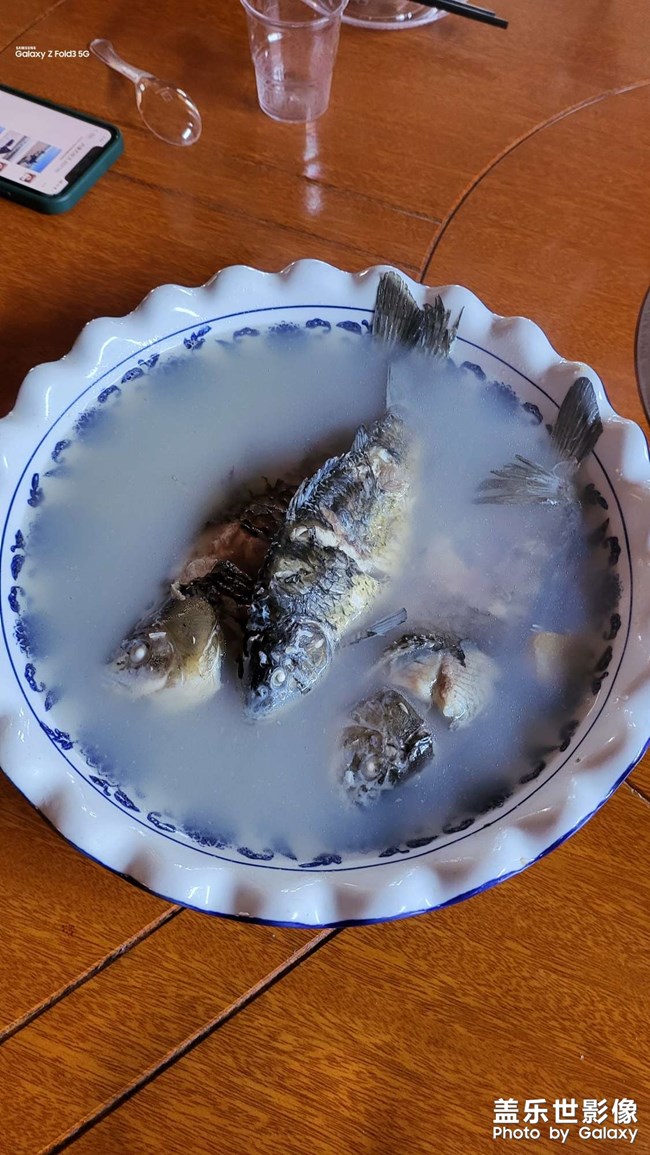 全球最好吃的魚