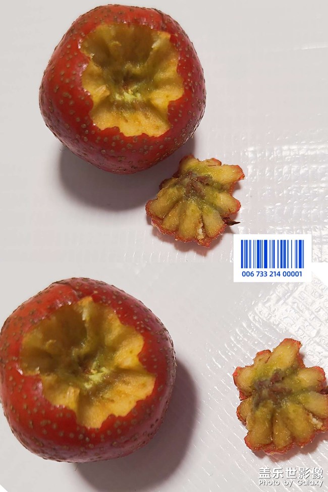 經(jīng)典山楂??罐頭