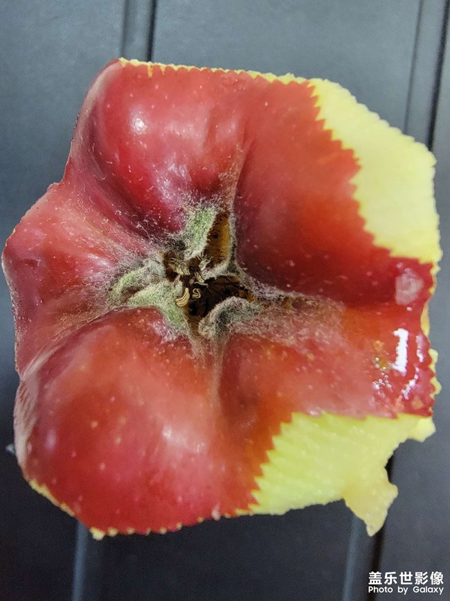 抓拍美的瞬間??