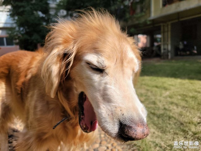 mo姐的晚年生活