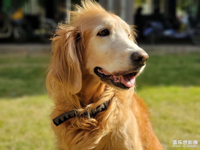 mo姐的晚年生活