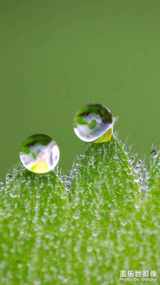 4K專(zhuān)區(qū)