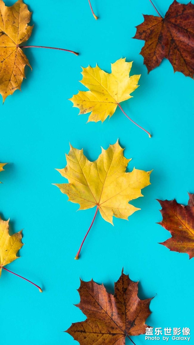 4K專(zhuān)區(qū)