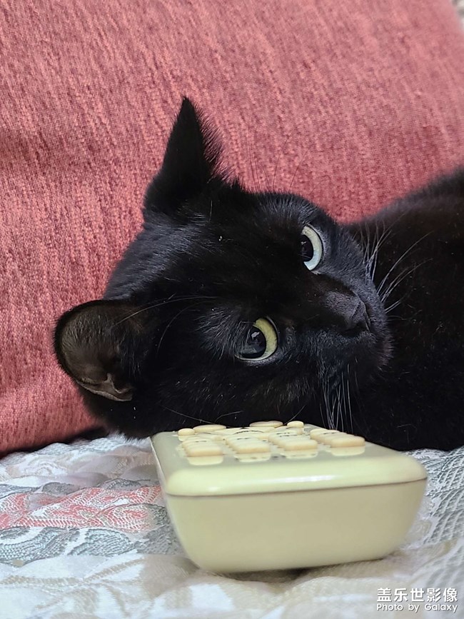 過所愛的生活，愛所過的生活，生活的理想其實(shí)就是理想的生活