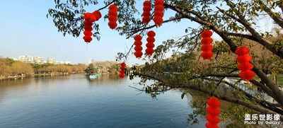 星耀旌陽(yáng)，大紅燈籠高高掛！