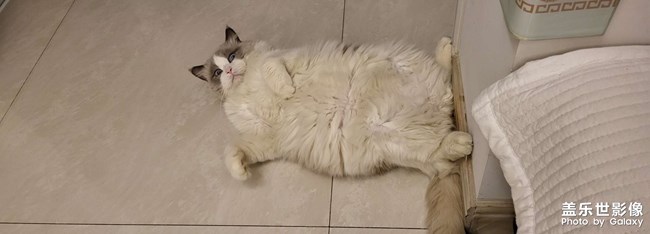 溫柔藏在細(xì)節(jié)里…