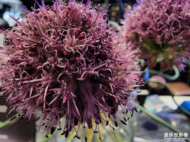 S22u的健身房陳設(shè)