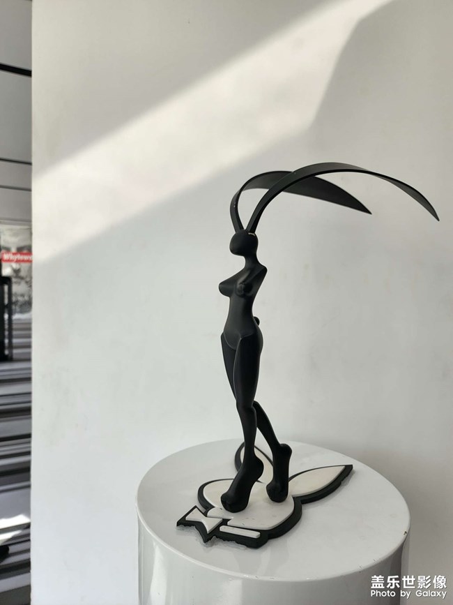 S22u的健身房陳設(shè)