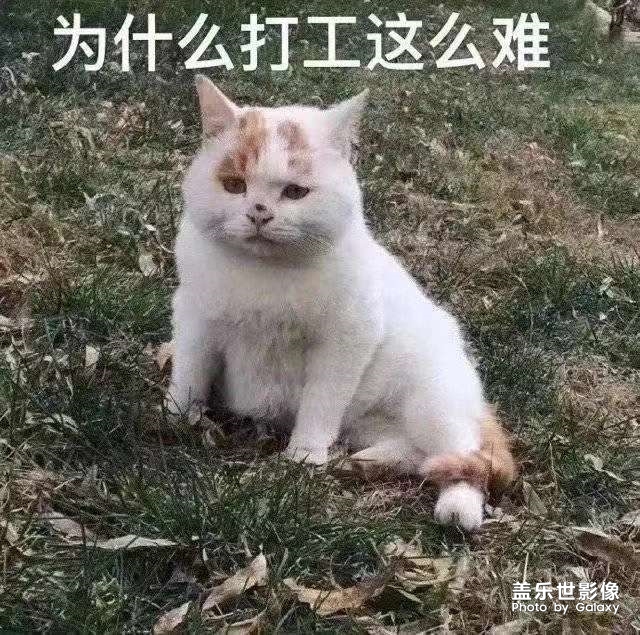推一個表情包