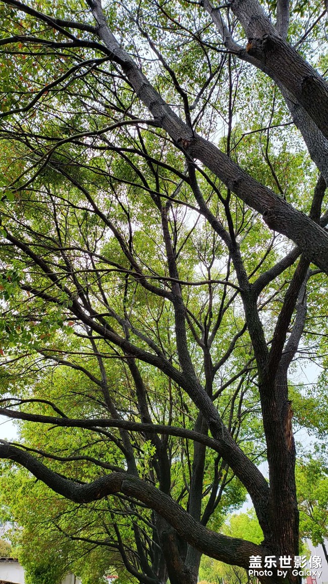 期望是你硬塞給別人的，失望是別人甩你臉上回贈你的。