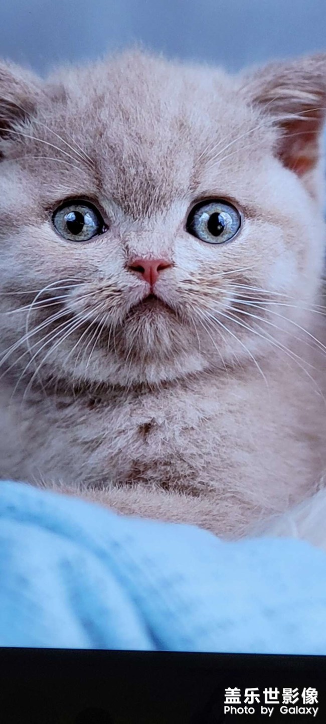 從榮耀智慧屏所拍的照片