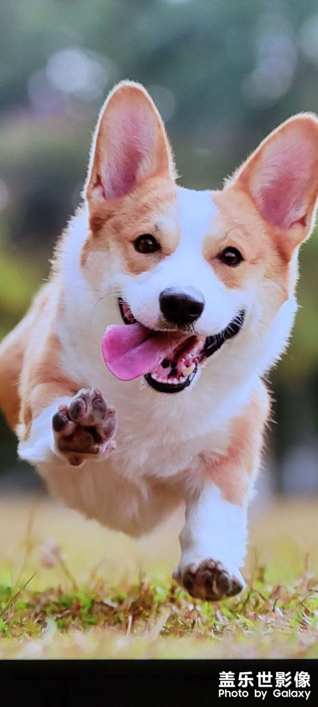 從榮耀智慧屏所拍的照片