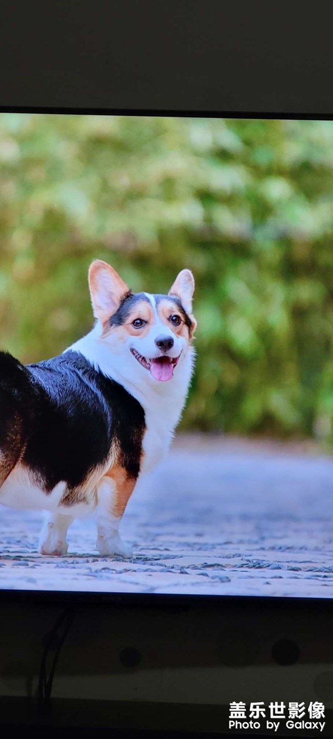 從榮耀智慧屏所拍的照片