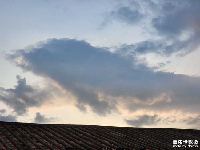 有誰能拒絕一條會發(fā)光的鯨魚呢