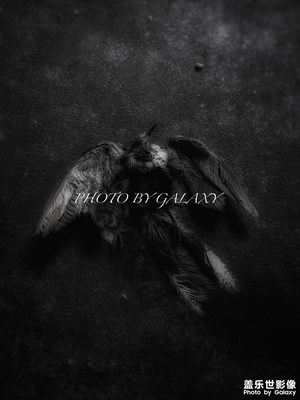 【日常隨拍】＋隨手拍記錄生活