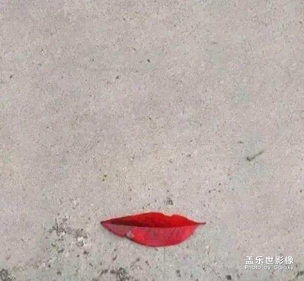 單身久了，看啥都漂亮。