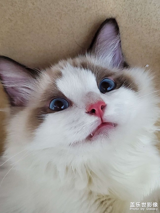 2個(gè)月到1歲的成長記錄