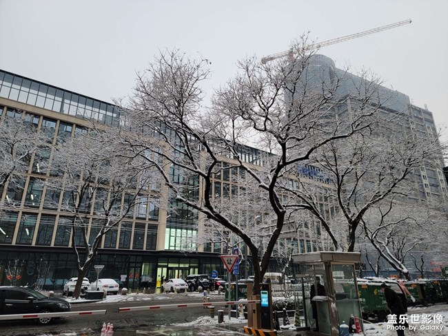 銀妝素裹