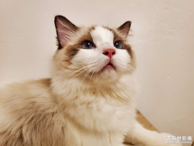 2個(gè)月到1歲的成長記錄