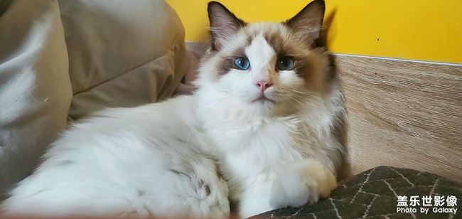 2個(gè)月到1歲的成長記錄