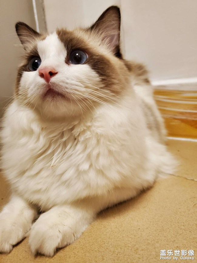 2個(gè)月到1歲的成長記錄