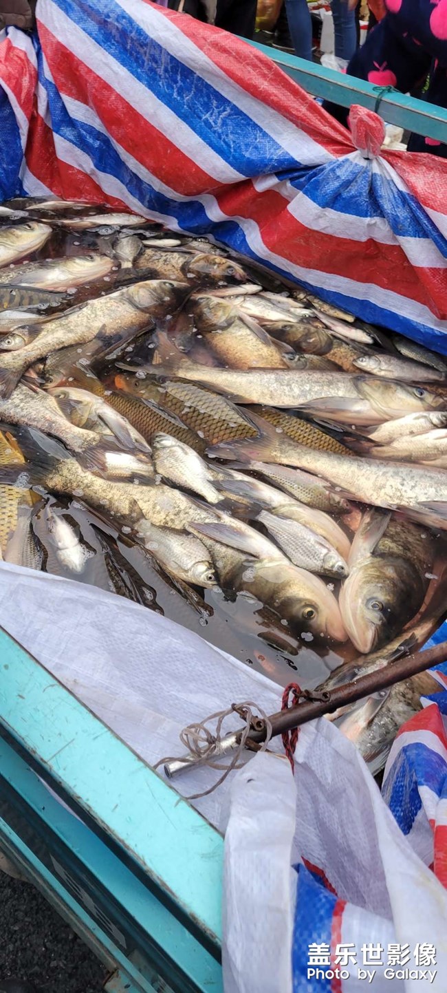 S21  人生百態(tài)，趕集隨拍