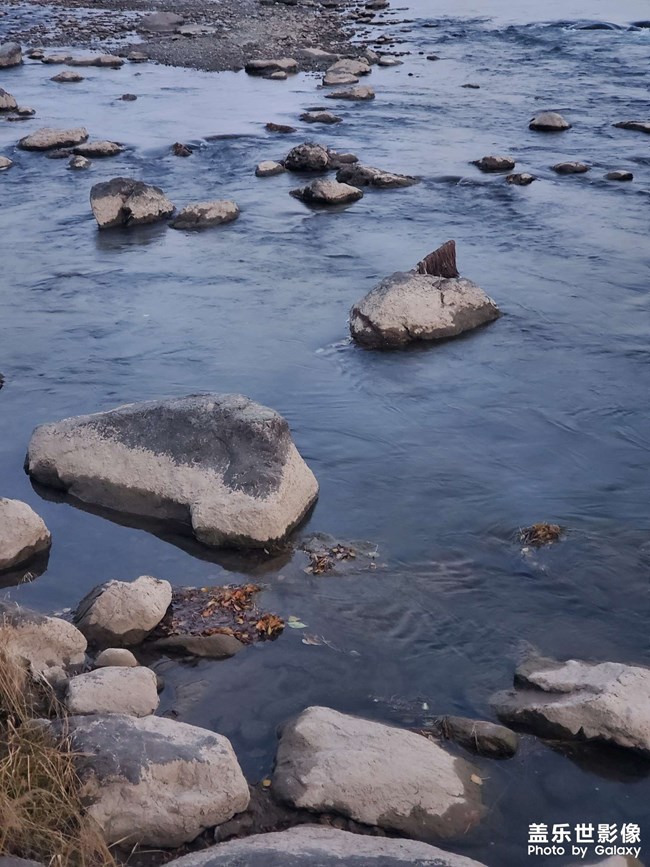晚飯時(shí)間！