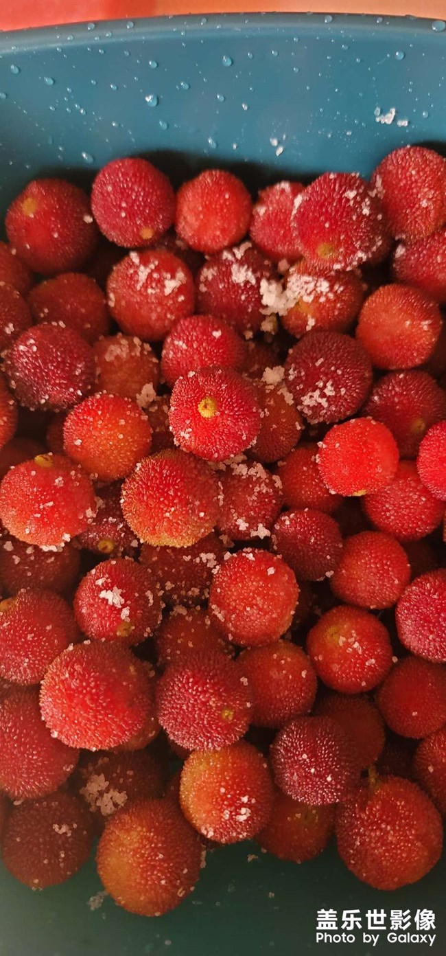 還是喜歡鄉(xiāng)下楊梅的味道