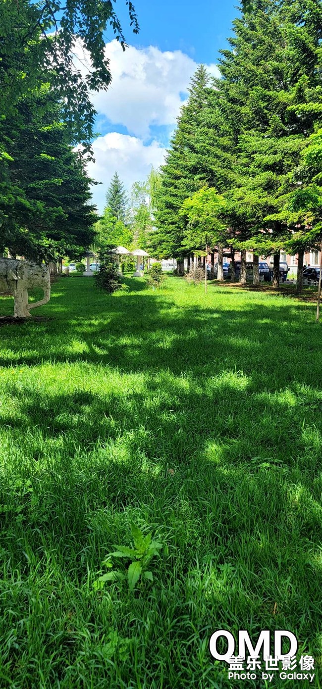 綠草、藍(lán)天