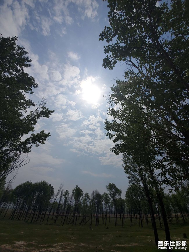 端午節(jié)的北方