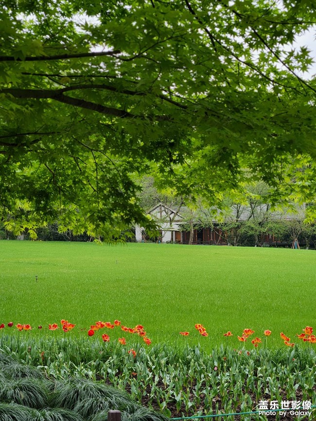 加油加油加油，奮斗吧少年