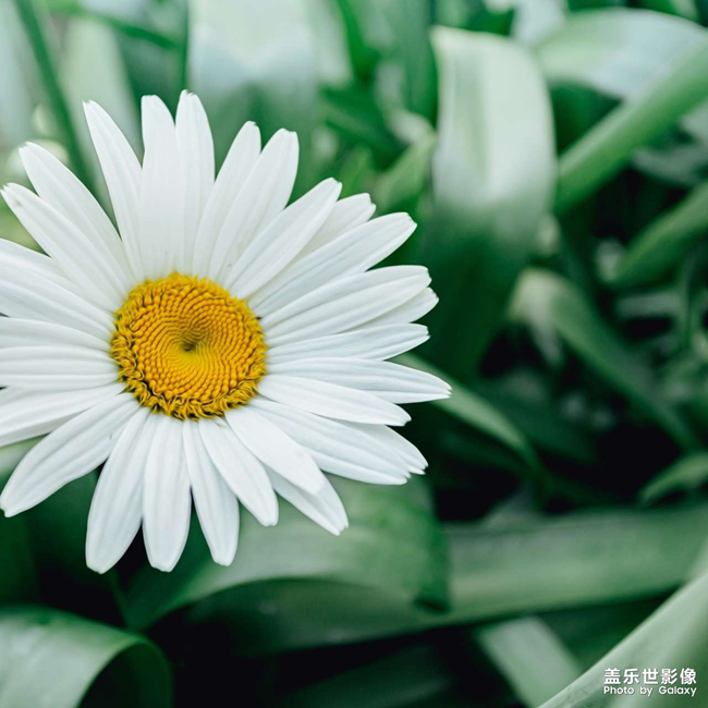 分享超清壁紙給大家