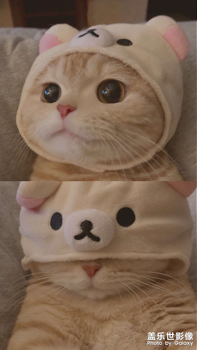 分享超清壁紙給大家