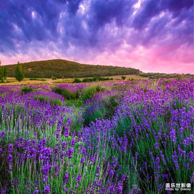 超清圖送給大家