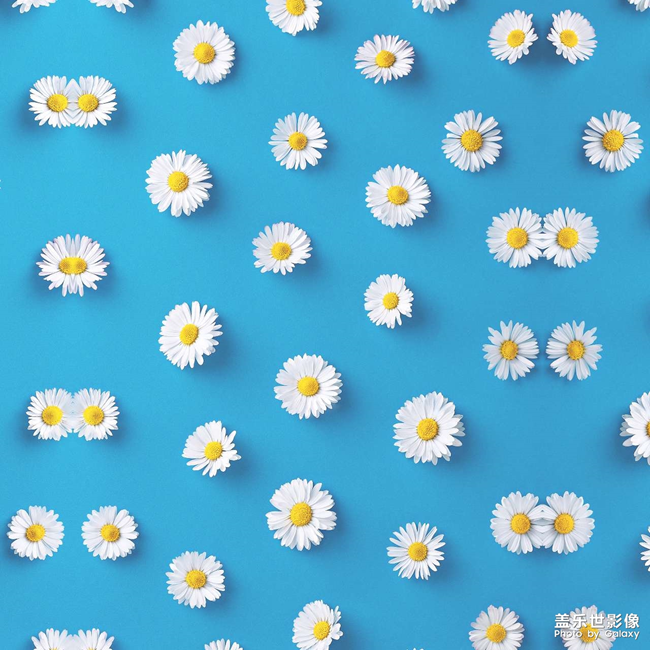 分享超清壁紙給大家