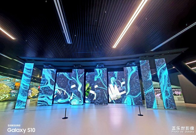 大潮起珠江共和國優(yōu)等生