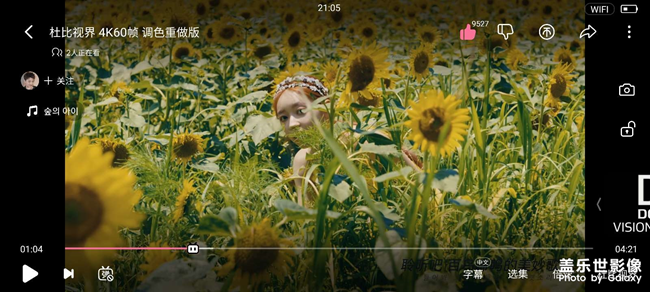 求問(wèn)s21u打開(kāi)杜比視界顏色反而變得慘淡