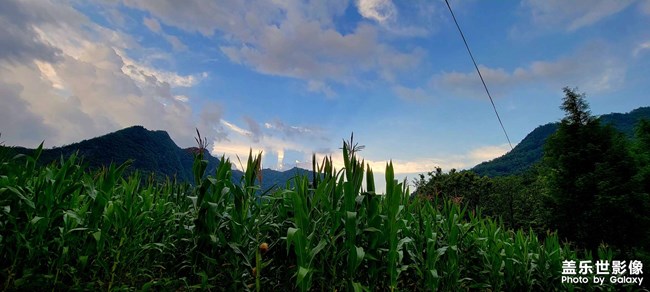 盛夏時節(jié)的??