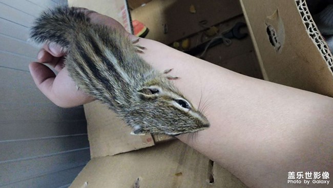 多少年沒(méi)玩了