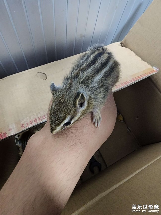 多少年沒(méi)玩了